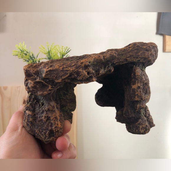 Reptile Decor - Picture 1 of 4